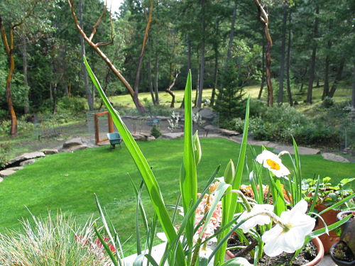 Arbutus Grove Bed and Breakfast Back Deck View
